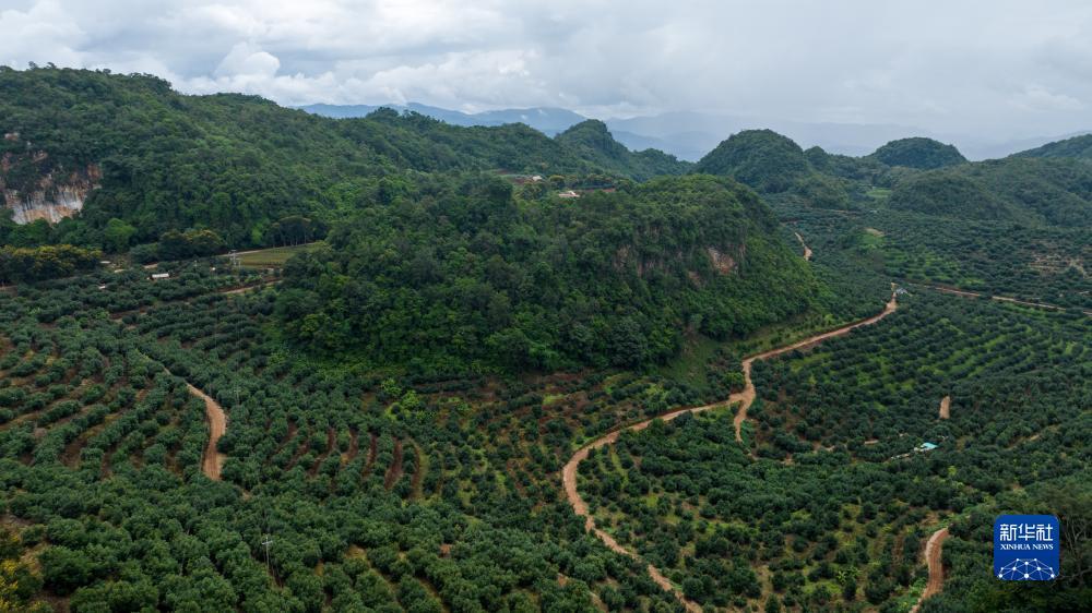易游菲律宾游戏平台